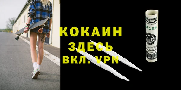 шишки Балахна